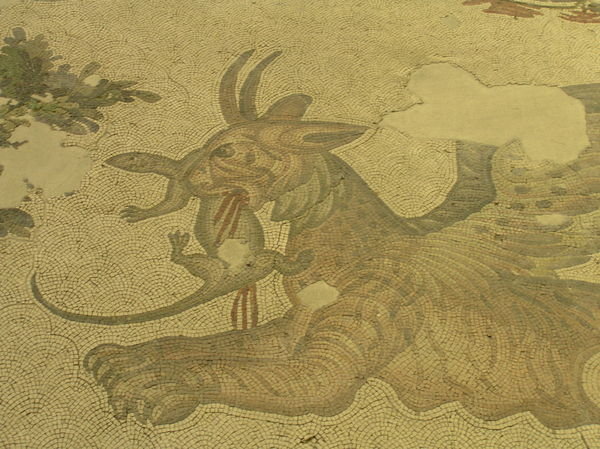 The death of a lizard at the Great Palace Mosiac Museum