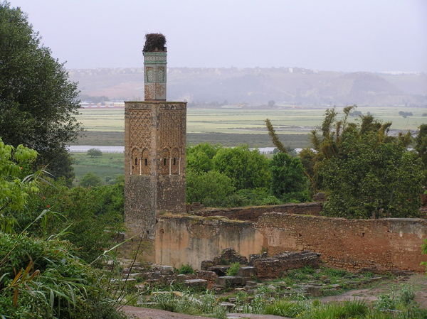 Ruins of Islamic Complex at Chellah