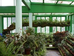 One of several greenhouses at Lloyd Botanic Garden