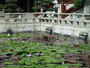 Detail of Chi Lin Nunnery & Nan Lian Garden