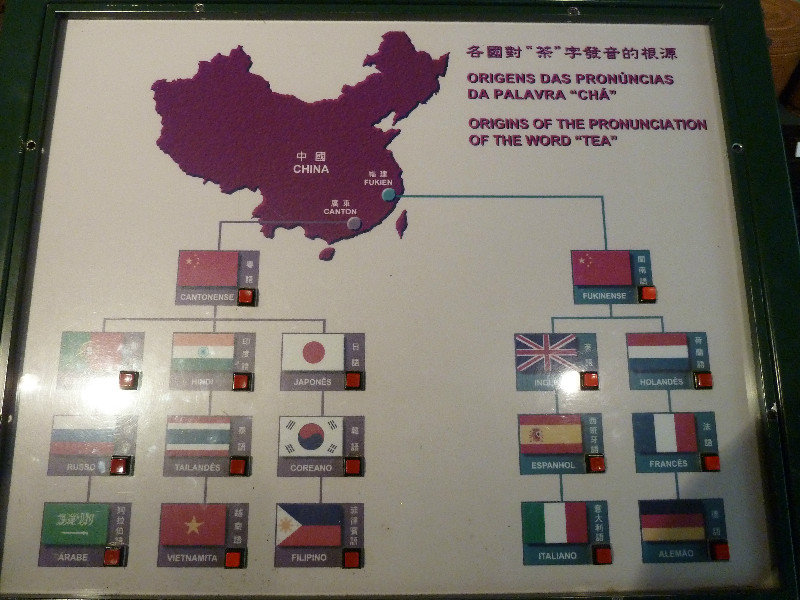 Tea Exhibit in Macau Museum