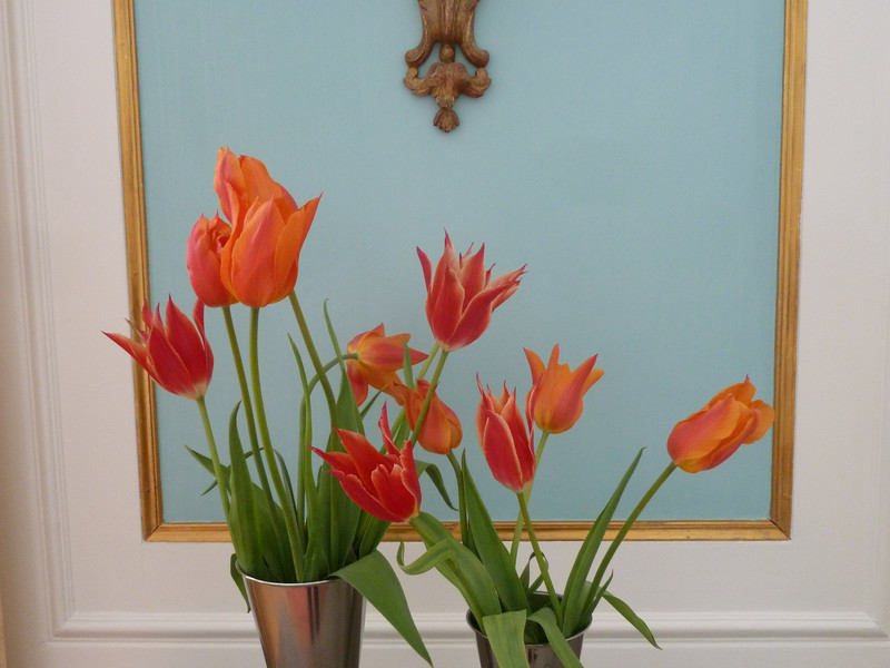 Tulips at Prins Eugens Waldemarsudde
