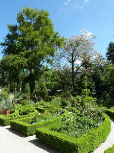 Hortus Botanicus 