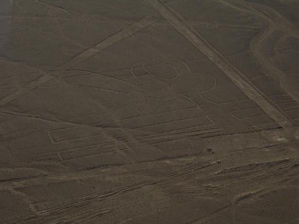 Nazca Lines 2