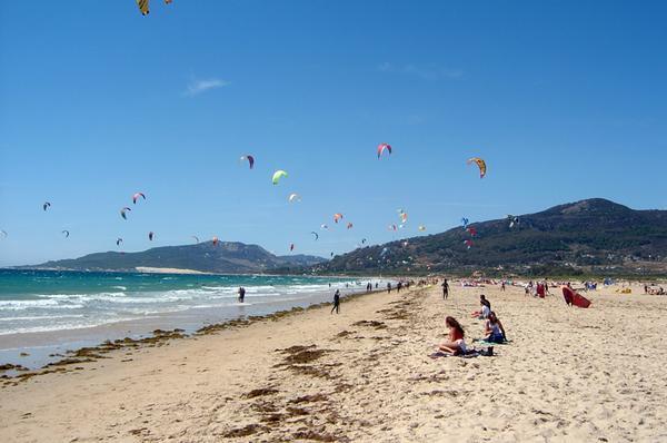 Strand mit Kites