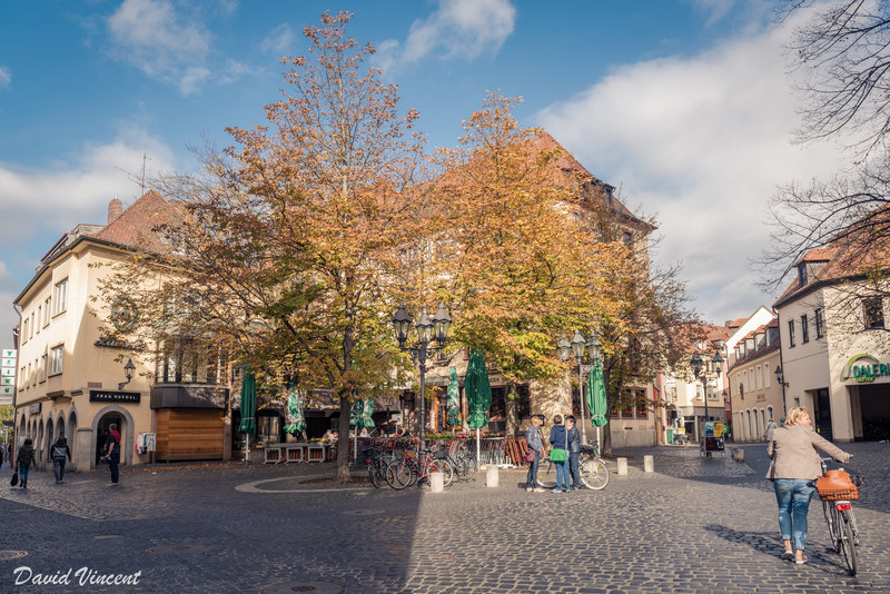 Autumn in Würzburg 