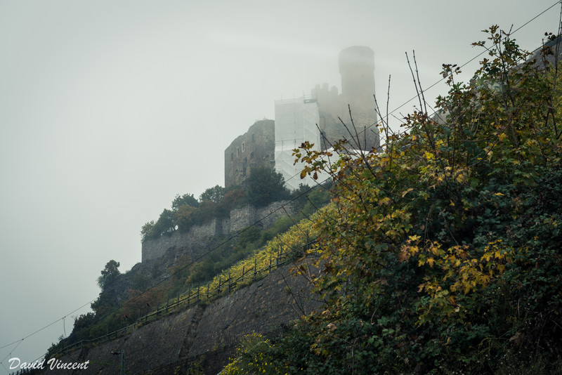 Castle by the Rhine