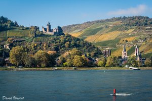 The Rhine in sunshine