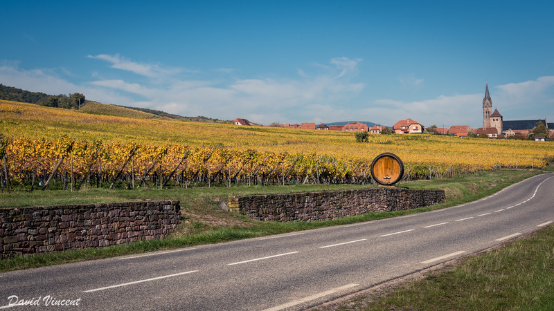Vineyards and Dambach-la-Ville