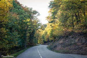The road to Haut-Koenigsbourg 