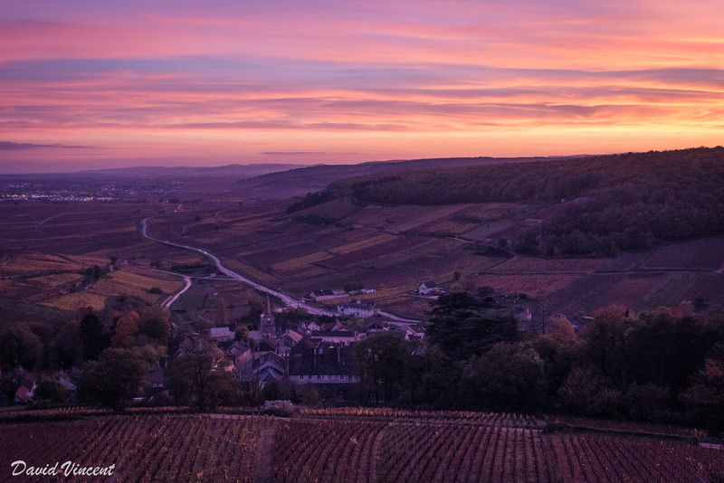 Sun setting over the vineyards