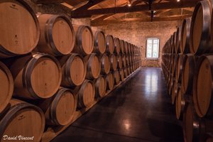 Barrels in the cellar of Chateau de Ferrand