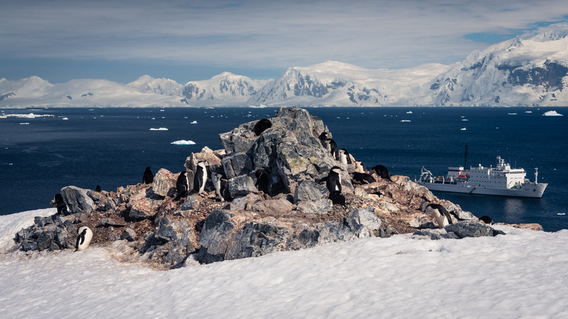 Chinstrap Penguin Rookery With Akademik Ioffe in the Background