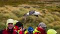 Albatross Landing