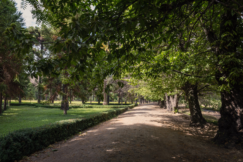 The Park of Casa Real