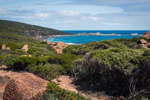 Walking on the Cape to Cape track