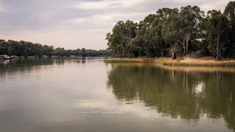 The Murray River