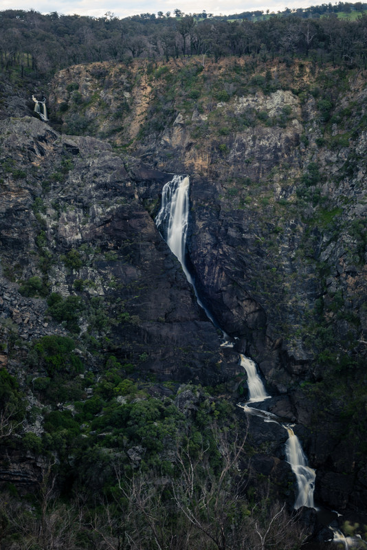 Tia Falls