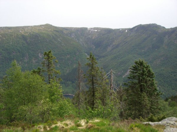 View from Vidden
