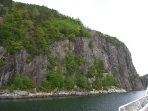 On Fjord Tour