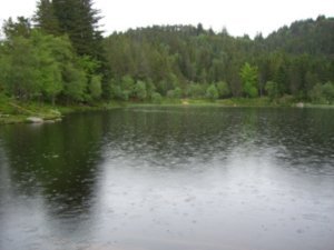Lake on Mt Floyen