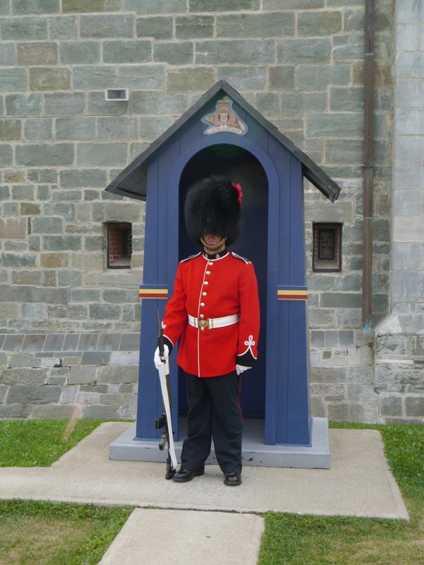 Guard at the citadel