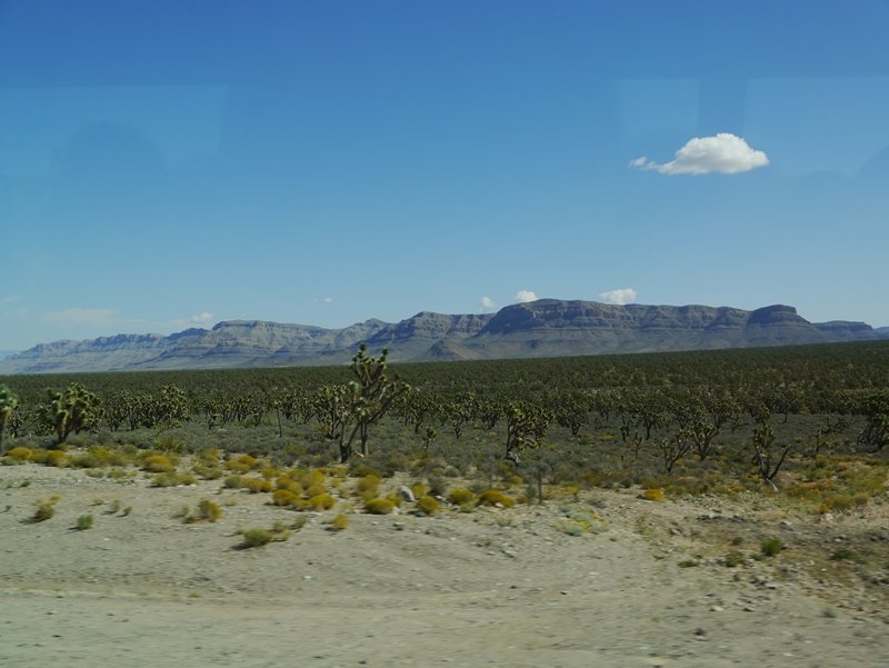 Some desert scenery