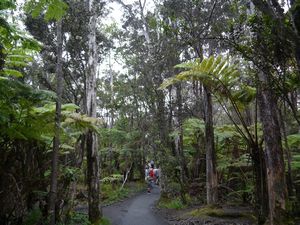 The path from the lava tube