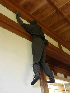 A ninja climbs the walls