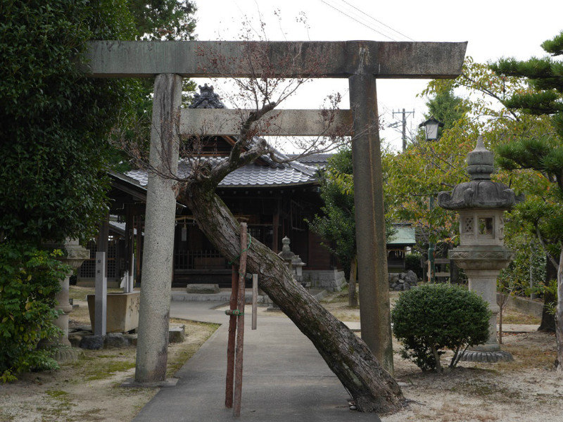 Shrine Near Inuyama Castle