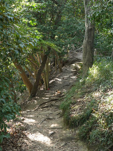 The Daibutsu Hiking Trail 