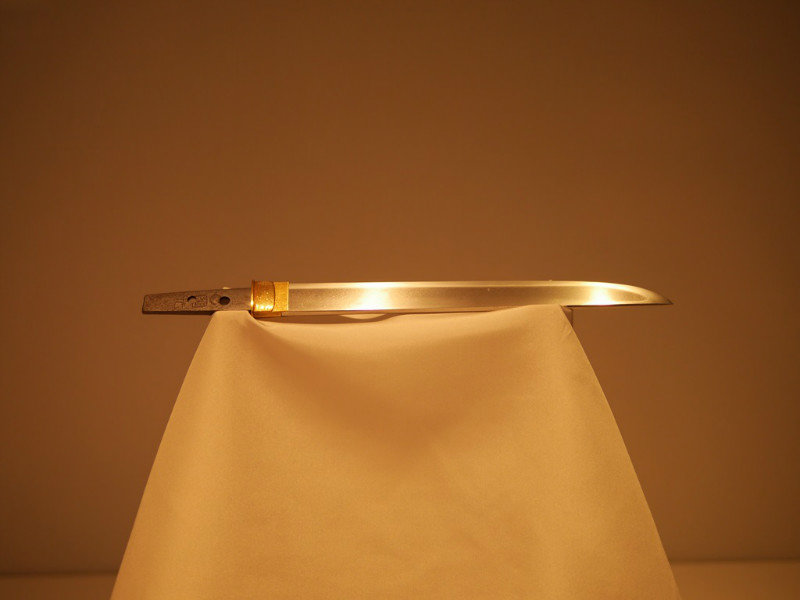 Wakazashi Sword