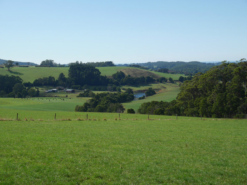 Tasmanian farmland