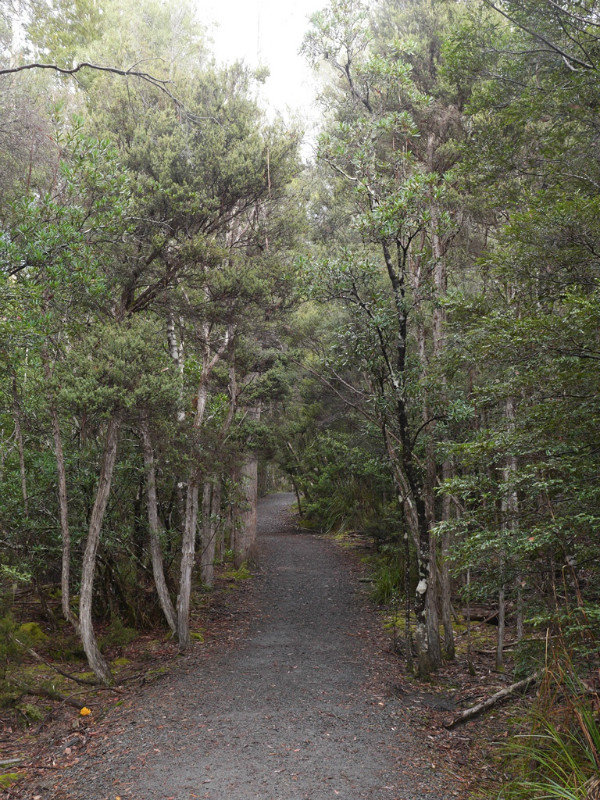 The Watersmeet track