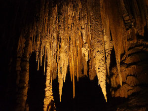 Stalactites in Newdegate Cave 