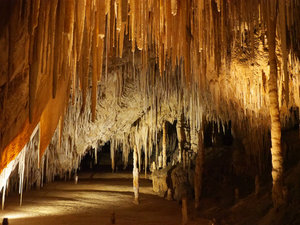 Stalactites in Newdegate Cave