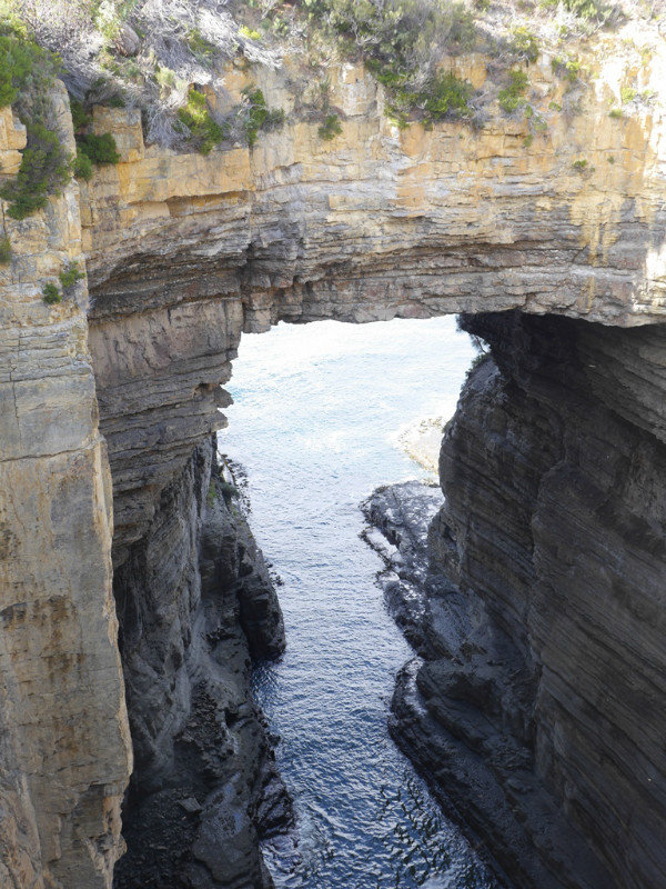 The Tasman Arch