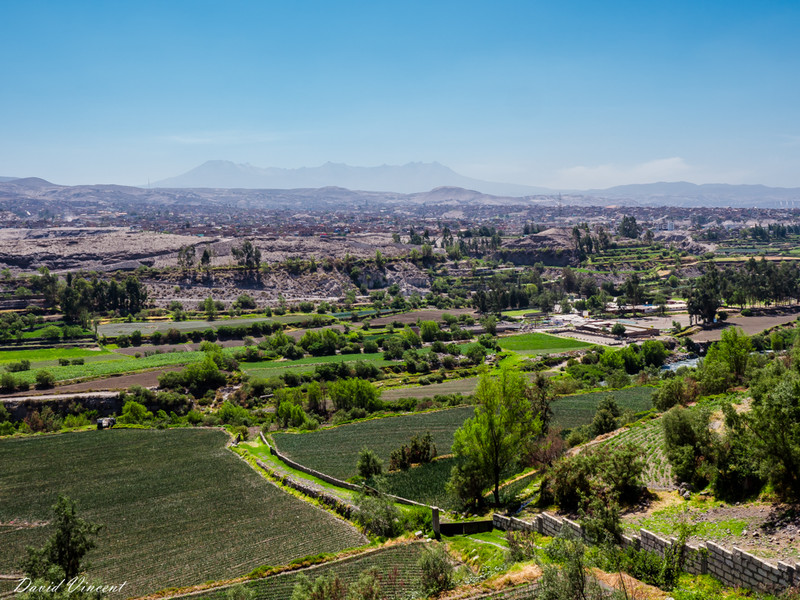 Farmland and Arequipa