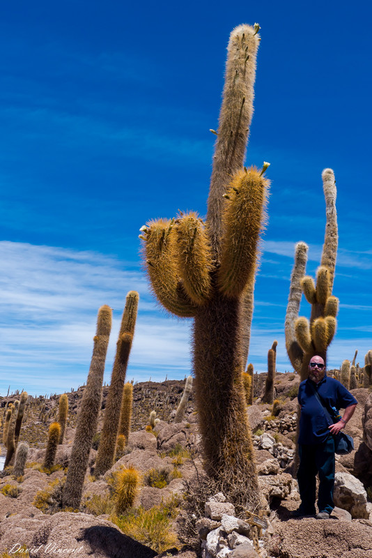 Me and a Cactus at Incahuasi Island