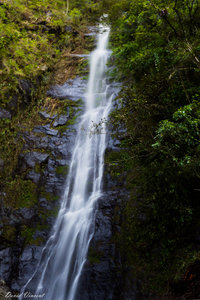 Waterfalls near Coroico