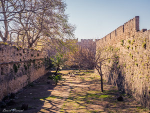The moat