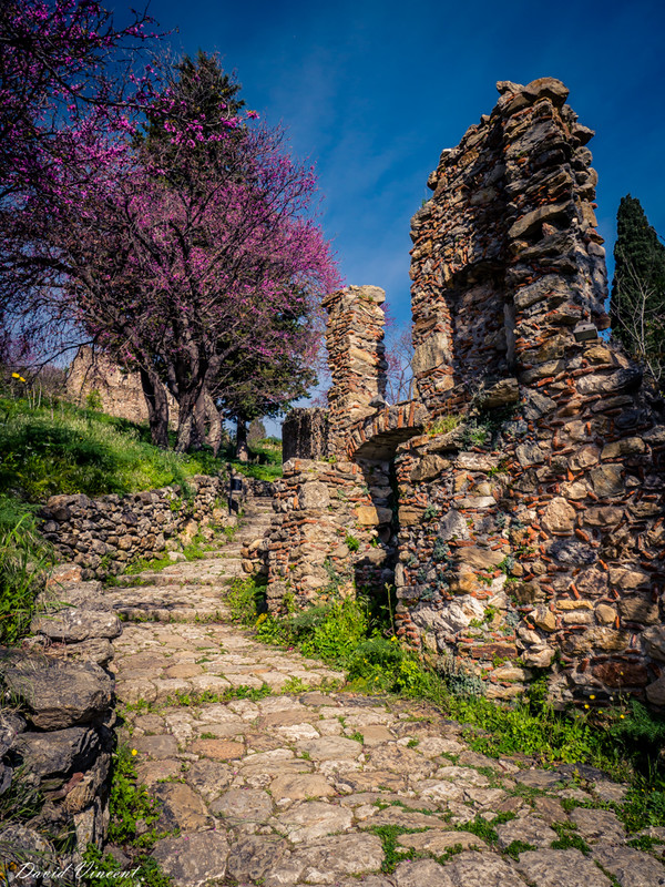 Path up the hill at Mystras