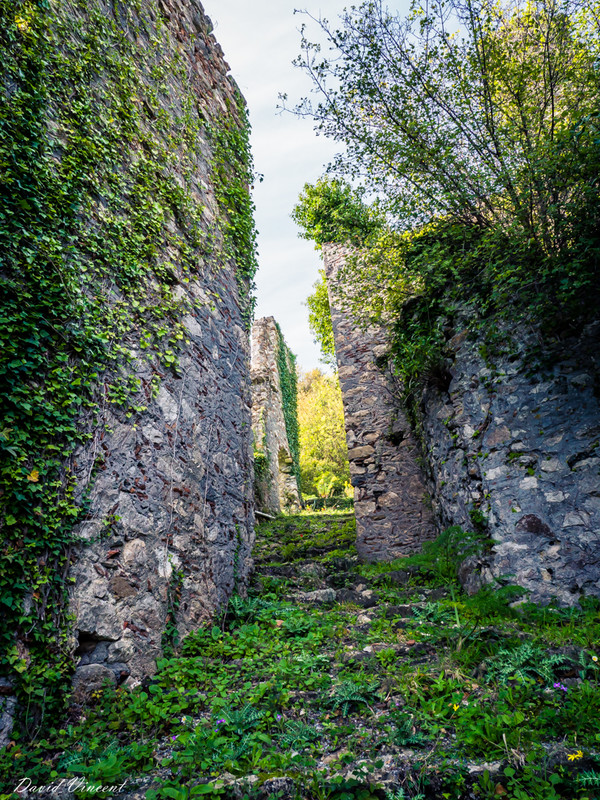 Path up the hill at Mystras