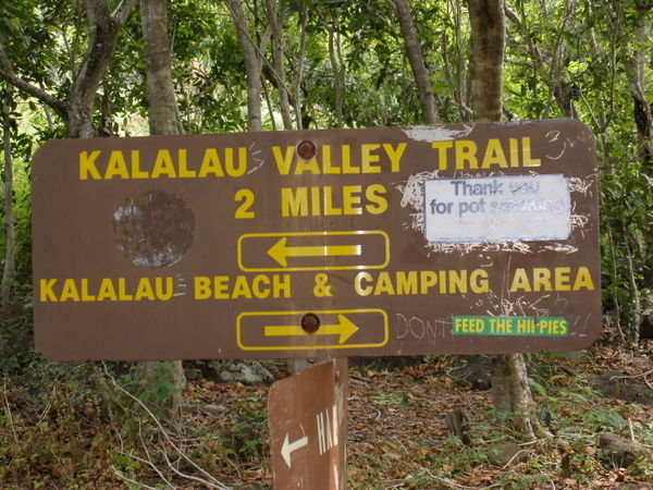 Arrival at Kalalau Beach (Almost)