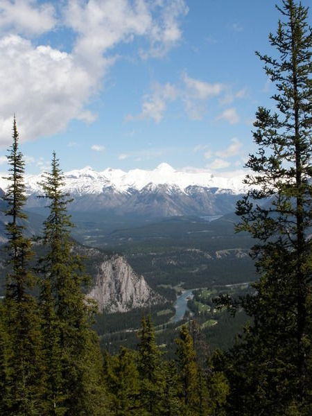 View Over Banff