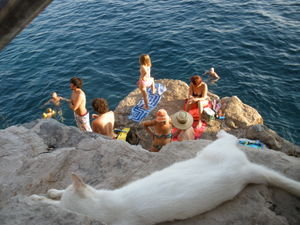 The Puss by the Sea - Dubrovnik