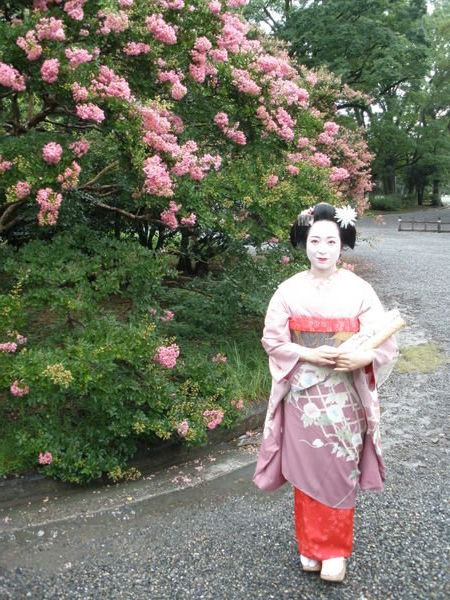 A Real Live Geisha!