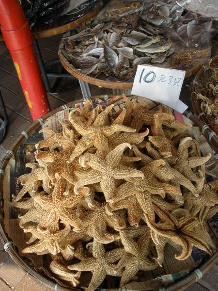 Starfish sale!