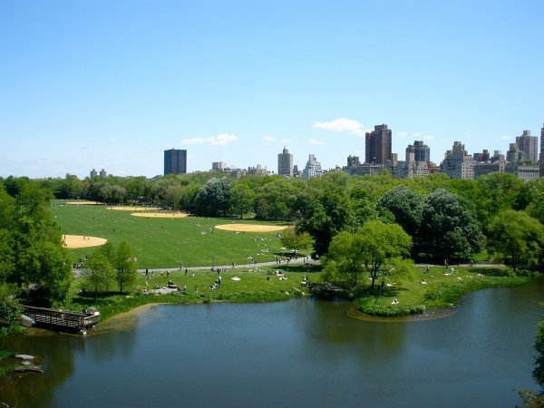 The view from Belvedere Castle over Central Park