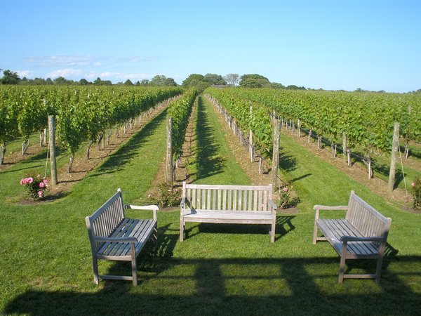 Hamptons Winery